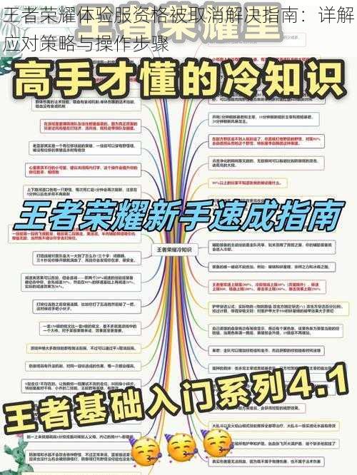 王者荣耀体验服资格被取消解决指南：详解应对策略与操作步骤