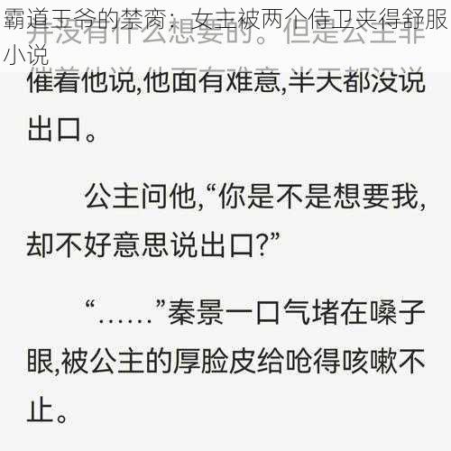 霸道王爷的禁脔：女主被两个侍卫夹得舒服小说