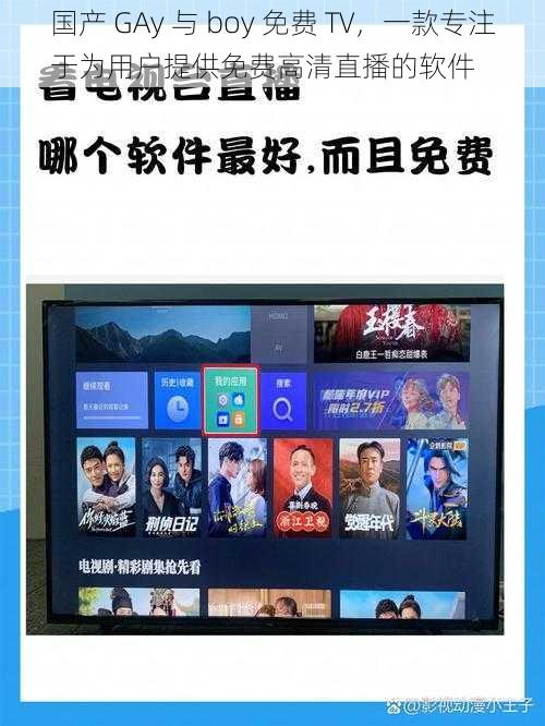 国产 GAy 与 boy 免费 TV，一款专注于为用户提供免费高清直播的软件