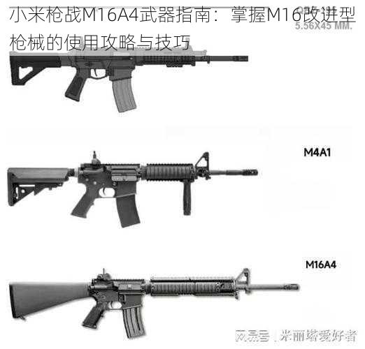 小米枪战M16A4武器指南：掌握M16改进型枪械的使用攻略与技巧