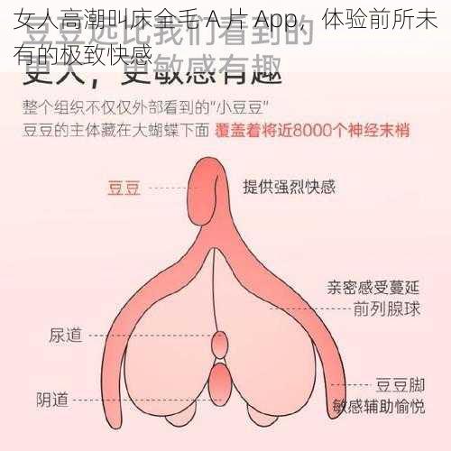 女人高潮叫床全毛 A 片 App，体验前所未有的极致快感