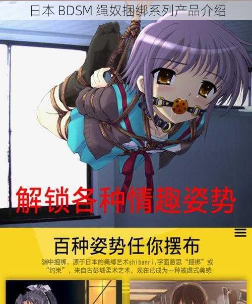 日本 BDSM 绳奴捆绑系列产品介绍