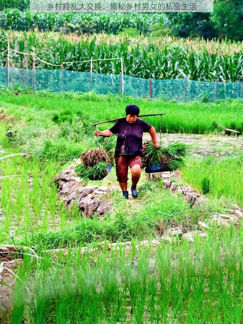 乡村婬乱大交换：揭秘乡村男女的私密生活