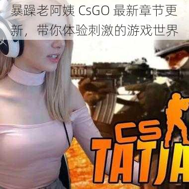 暴躁老阿姨 CsGO 最新章节更新，带你体验刺激的游戏世界