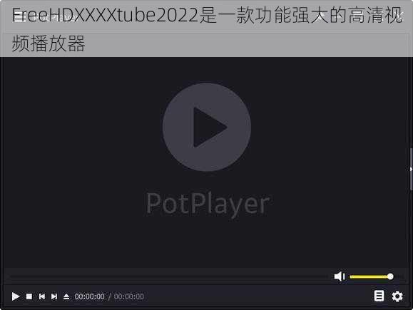 FreeHDXXXXtube2022是一款功能强大的高清视频播放器