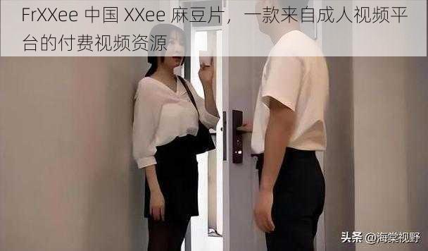 FrXXee 中国 XXee 麻豆片，一款来自成人视频平台的付费视频资源