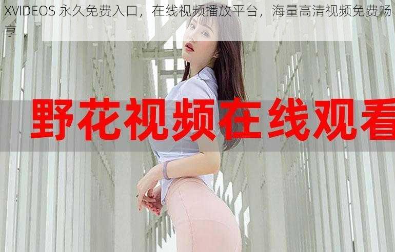 XVIDEOS 永久免费入口，在线视频播放平台，海量高清视频免费畅享