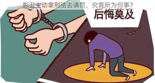 影卫主动拿刑法去请罚，究竟所为何事？