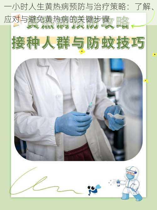 一小时人生黄热病预防与治疗策略：了解、应对与避免黄热病的关键步骤