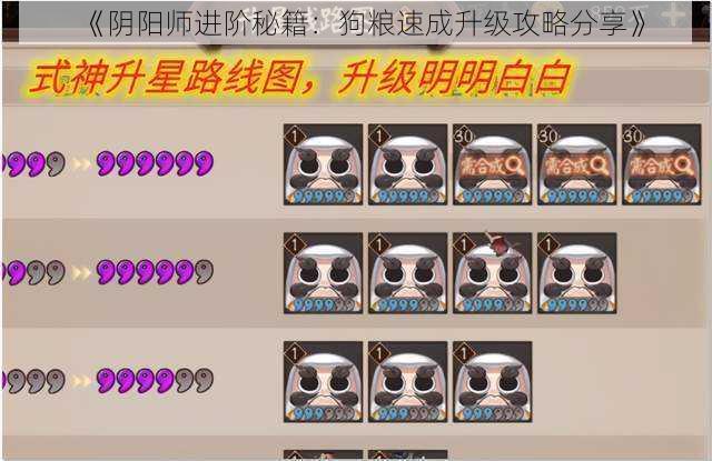 《阴阳师进阶秘籍：狗粮速成升级攻略分享》