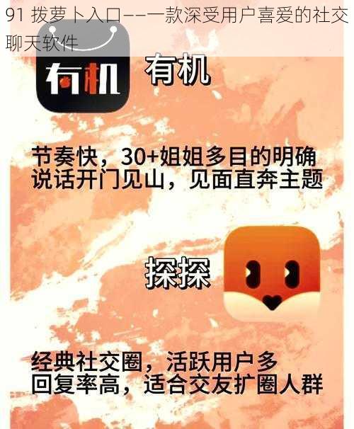 91 拨萝卜入口——一款深受用户喜爱的社交聊天软件