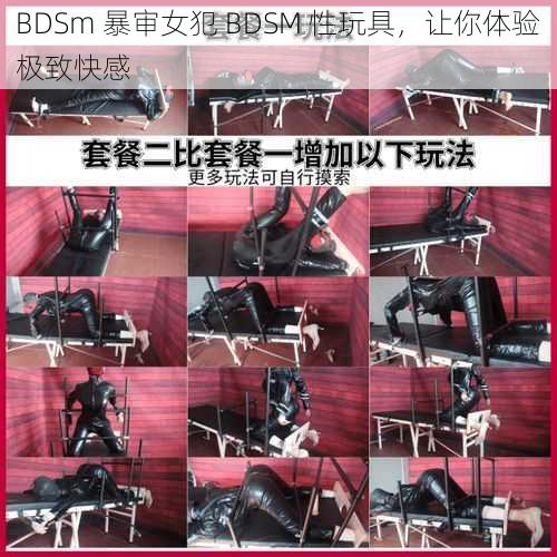 BDSm 暴审女犯 BDSM 性玩具，让你体验极致快感