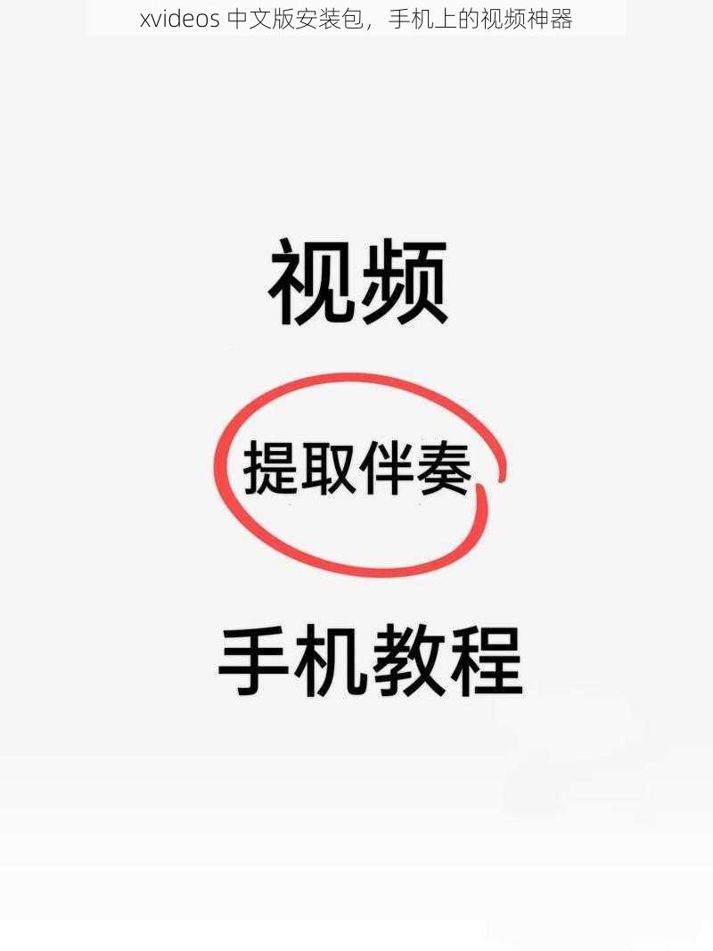 xvideos 中文版安装包，手机上的视频神器