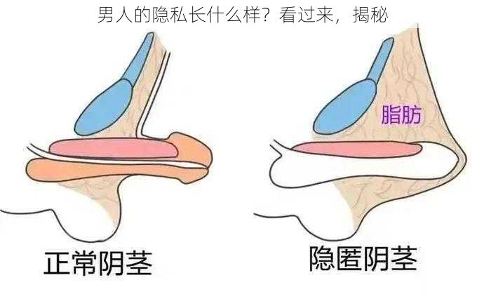 男人的隐私长什么样？看过来，揭秘