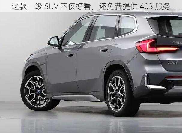 这款一级 SUV 不仅好看，还免费提供 403 服务