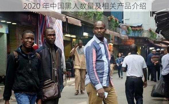 2020 年中国黑人数量及相关产品介绍