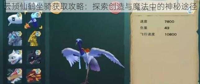 云顶仙鹤坐骑获取攻略：探索创造与魔法中的神秘途径