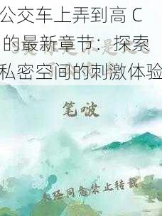 公交车上弄到高 C 的最新章节：探索私密空间的刺激体验