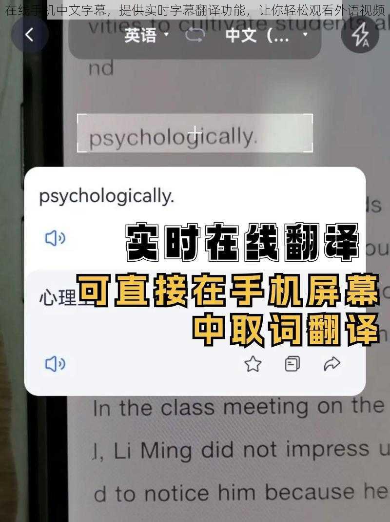 在线手机中文字幕，提供实时字幕翻译功能，让你轻松观看外语视频