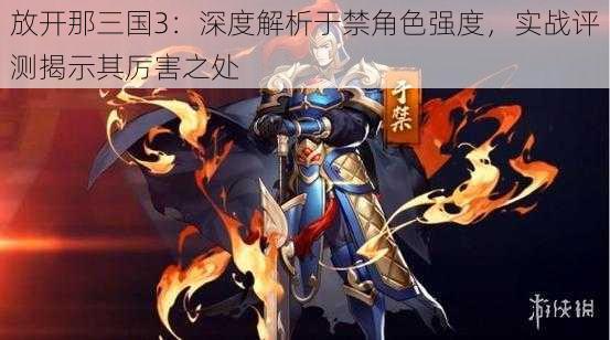 放开那三国3：深度解析于禁角色强度，实战评测揭示其厉害之处