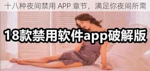 十八种夜间禁用 APP 章节，满足你夜间所需