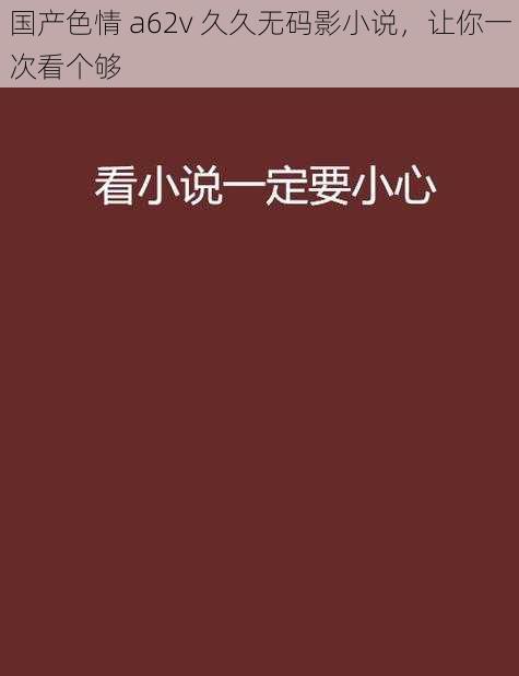 国产色情 a62v 久久无码影小说，让你一次看个够