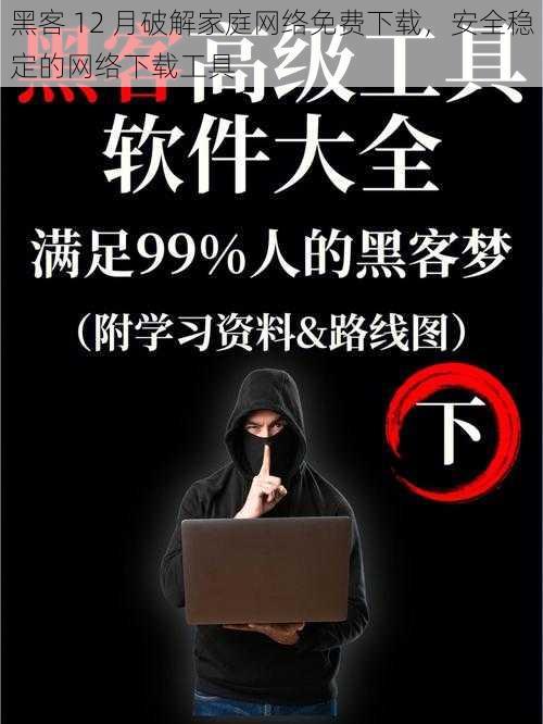 黑客 12 月破解家庭网络免费下载，安全稳定的网络下载工具