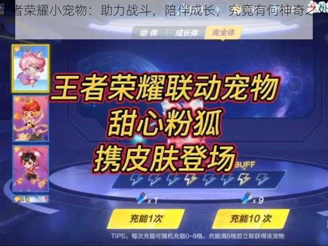 王者荣耀小宠物：助力战斗，陪伴成长，究竟有何神奇之处？