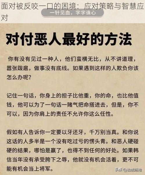 面对被反咬一口的困境：应对策略与智慧应对