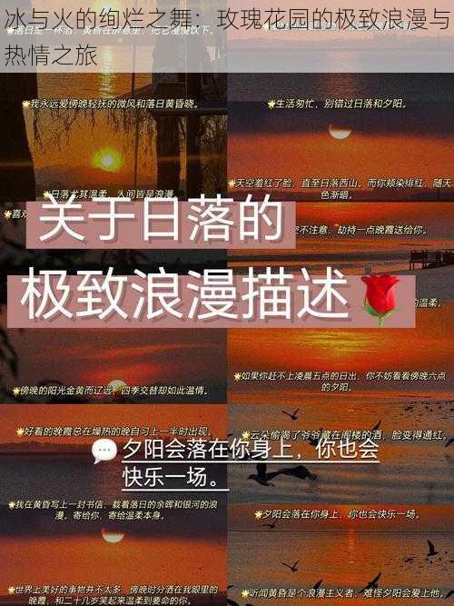 冰与火的绚烂之舞：玫瑰花园的极致浪漫与热情之旅