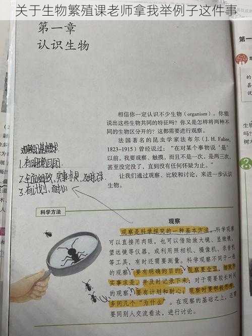 关于生物繁殖课老师拿我举例子这件事