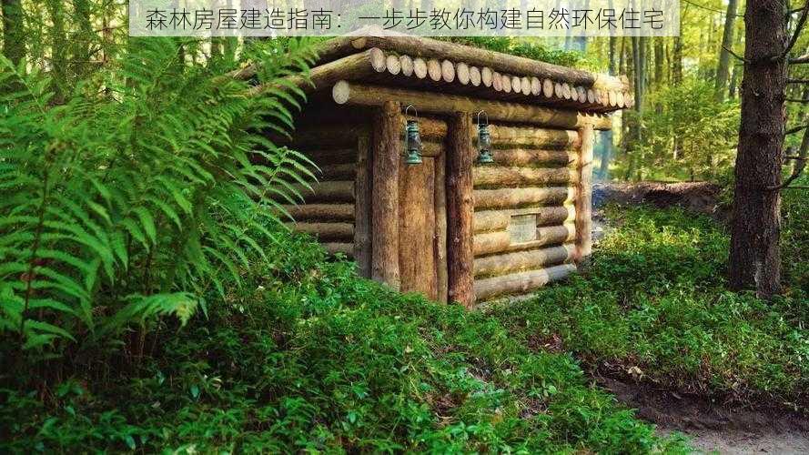 森林房屋建造指南：一步步教你构建自然环保住宅