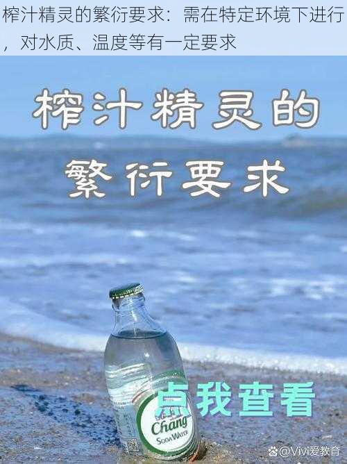 榨汁精灵的繁衍要求：需在特定环境下进行，对水质、温度等有一定要求