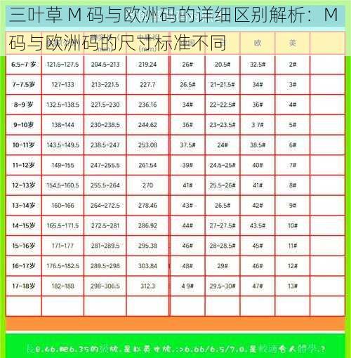 三叶草 M 码与欧洲码的详细区别解析：M 码与欧洲码的尺寸标准不同