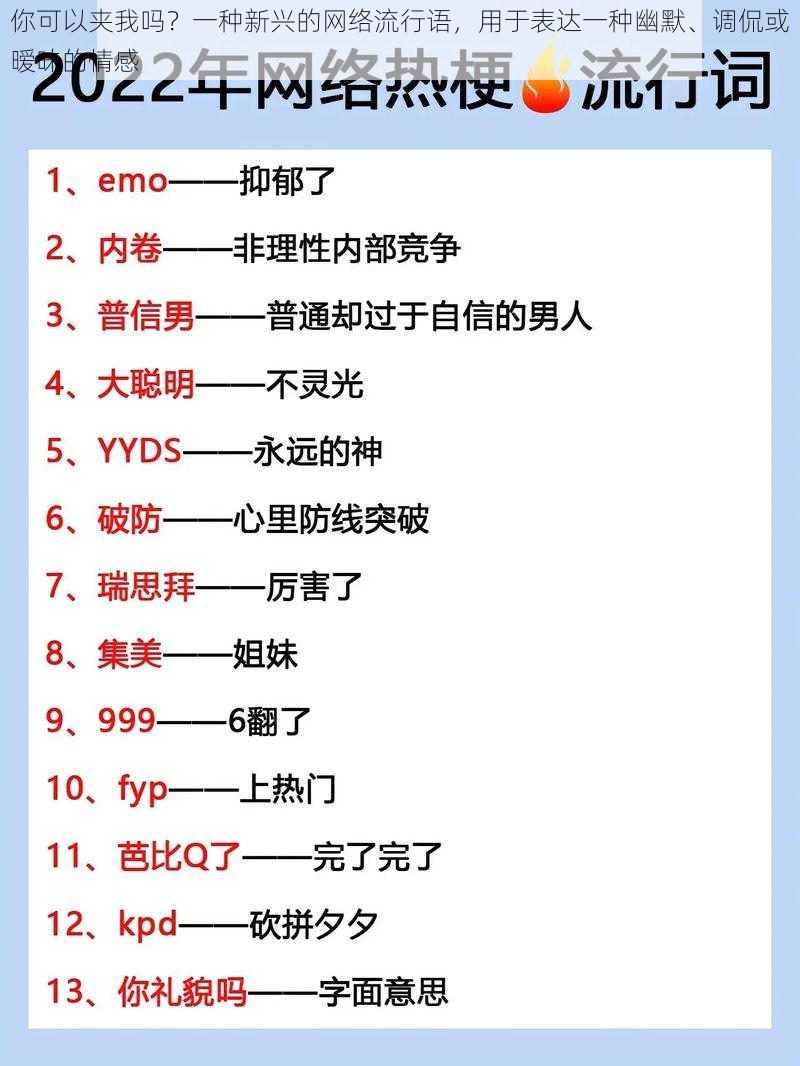 你可以夹我吗？一种新兴的网络流行语，用于表达一种幽默、调侃或暧昧的情感