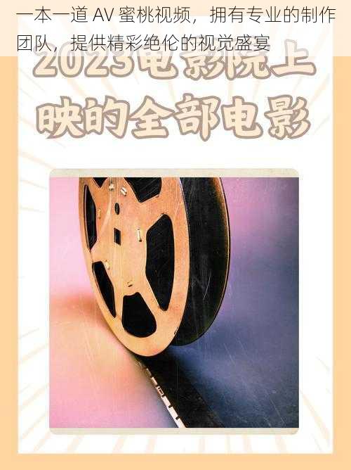 一本一道 AV 蜜桃视频，拥有专业的制作团队，提供精彩绝伦的视觉盛宴