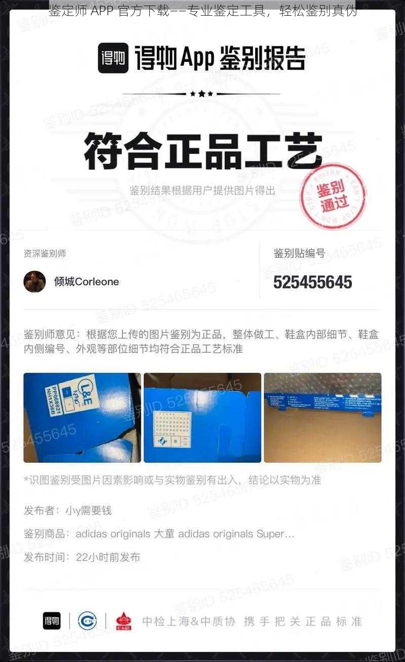 鉴定师 APP 官方下载——专业鉴定工具，轻松鉴别真伪