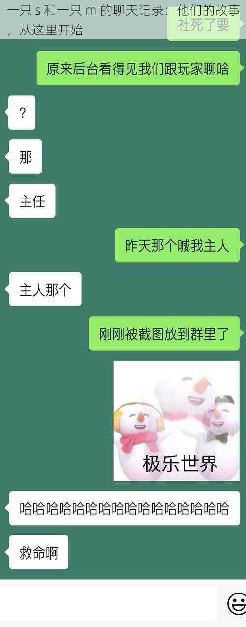 一只 s 和一只 m 的聊天记录：他们的故事，从这里开始