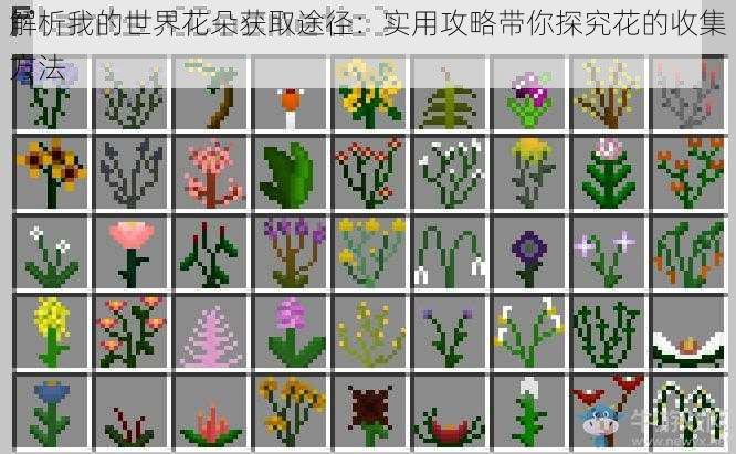 解析我的世界花朵获取途径：实用攻略带你探究花的收集方法