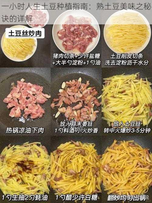 一小时人生土豆种植指南：熟土豆美味之秘诀的详解