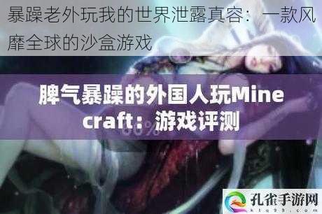 暴躁老外玩我的世界泄露真容：一款风靡全球的沙盒游戏