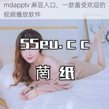 mdapptv 麻豆入口，一款备受欢迎的视频播放软件