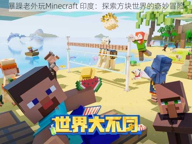 暴躁老外玩Minecraft 印度：探索方块世界的奇妙冒险