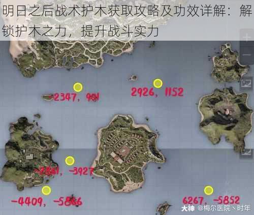 明日之后战术护木获取攻略及功效详解：解锁护木之力，提升战斗实力