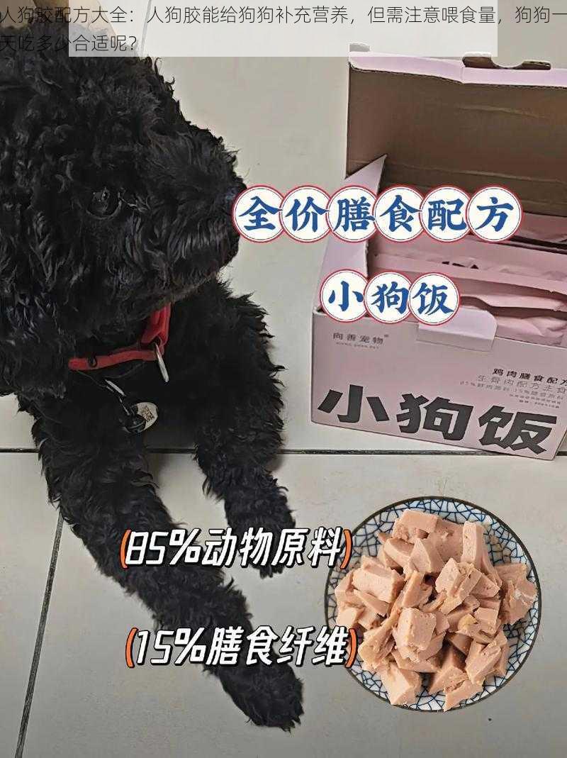 人狗胶配方大全：人狗胶能给狗狗补充营养，但需注意喂食量，狗狗一天吃多少合适呢？