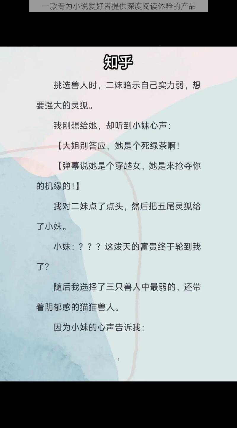 一款专为小说爱好者提供深度阅读体验的产品