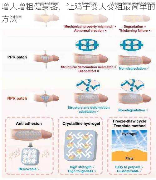 增大增粗健身器，让鸡子变大变粗最简单的方法