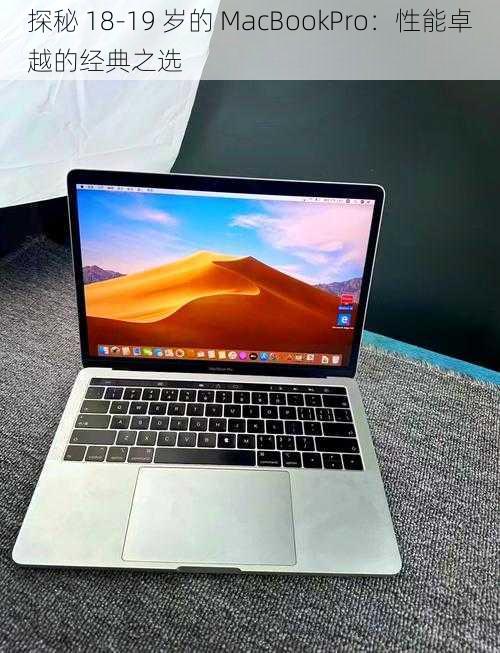 探秘 18-19 岁的 MacBookPro：性能卓越的经典之选