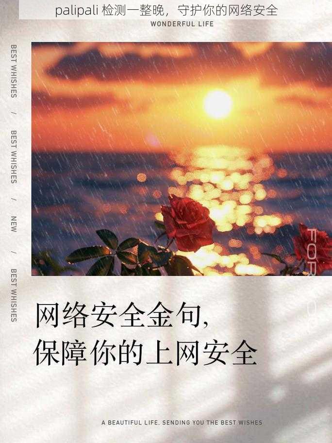 palipali 检测一整晚，守护你的网络安全