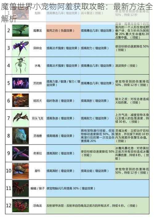 魔兽世界小宠物阿羞获取攻略：最新方法全解析